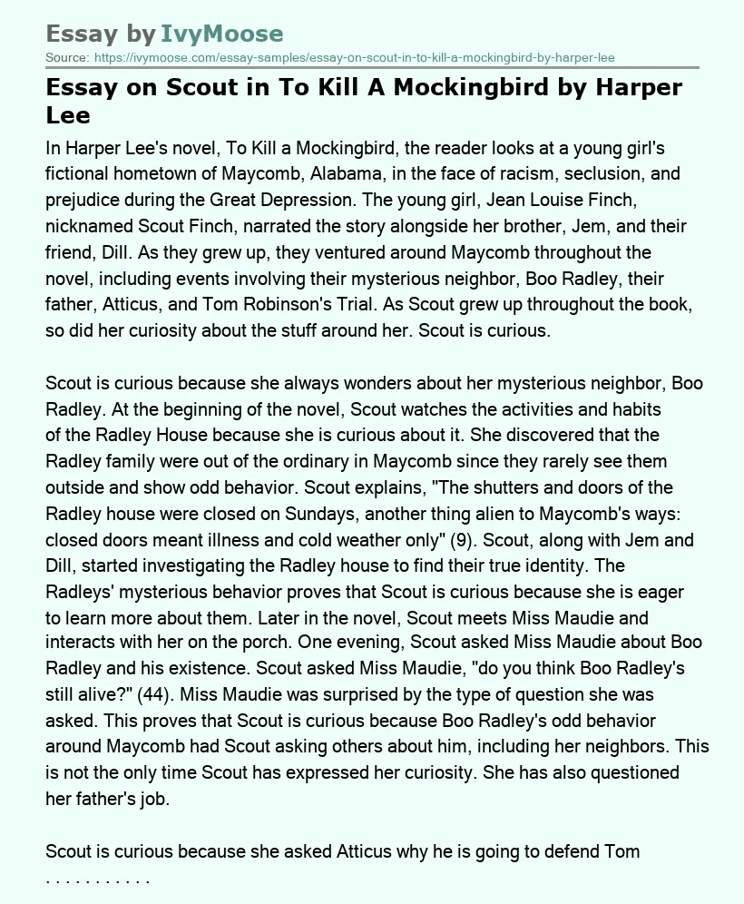 Essay on Scout in To Kill A Mockingbird by Harper Lee