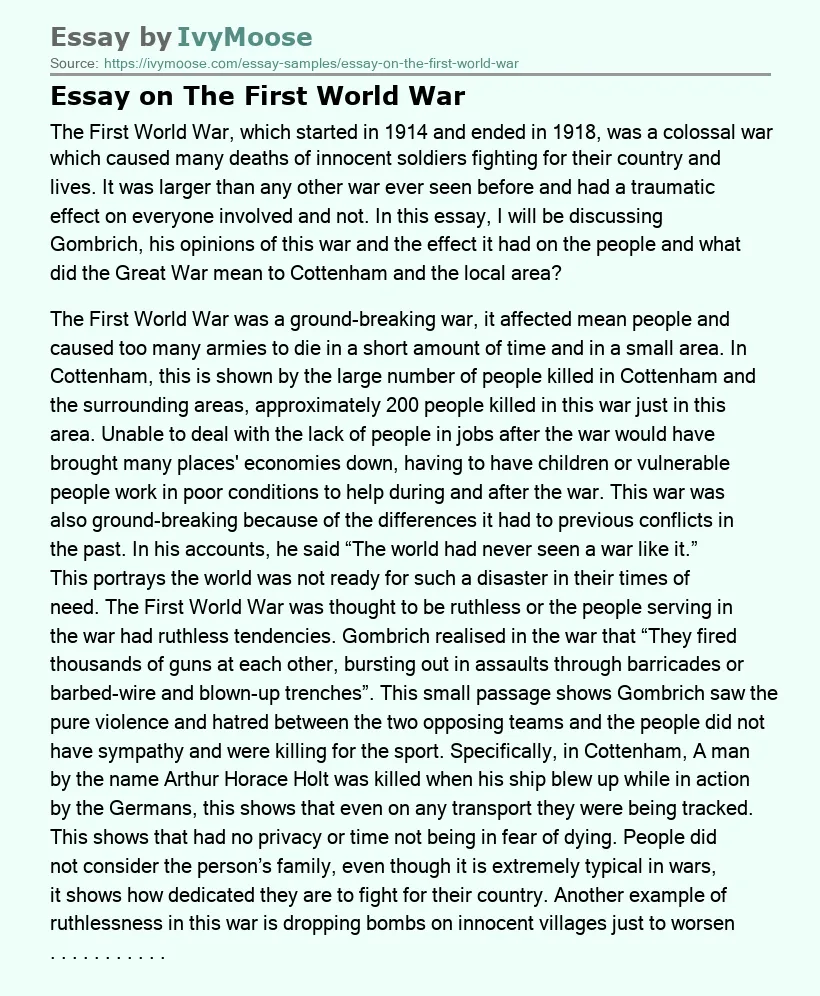 Essay on The First World War