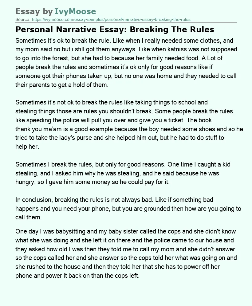 Personal Narrative Essay: Breaking The Rules
