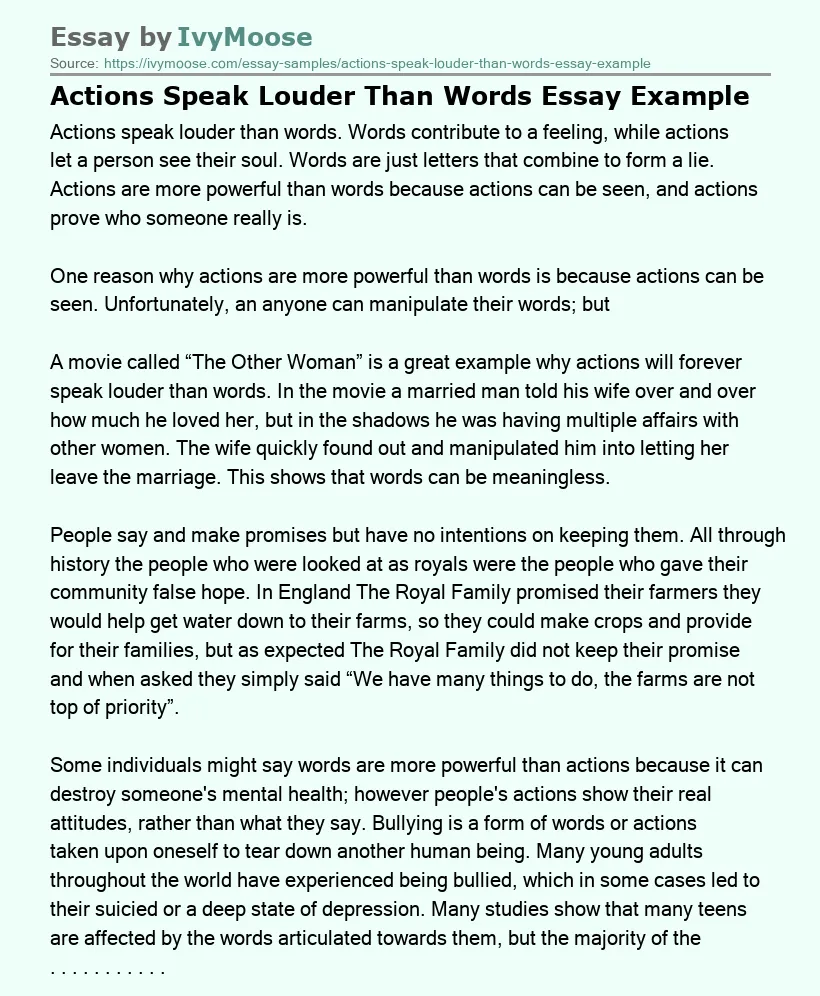 Actions Speak Louder Than Words Essay Example