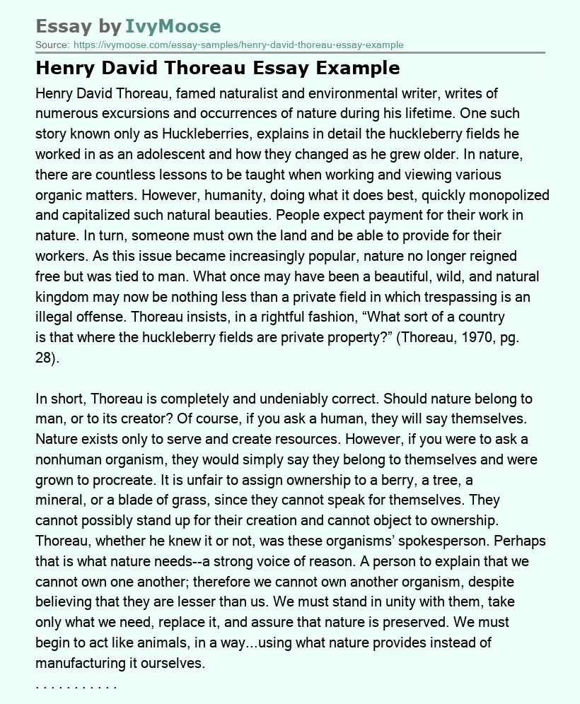 Henry David Thoreau Essay Example