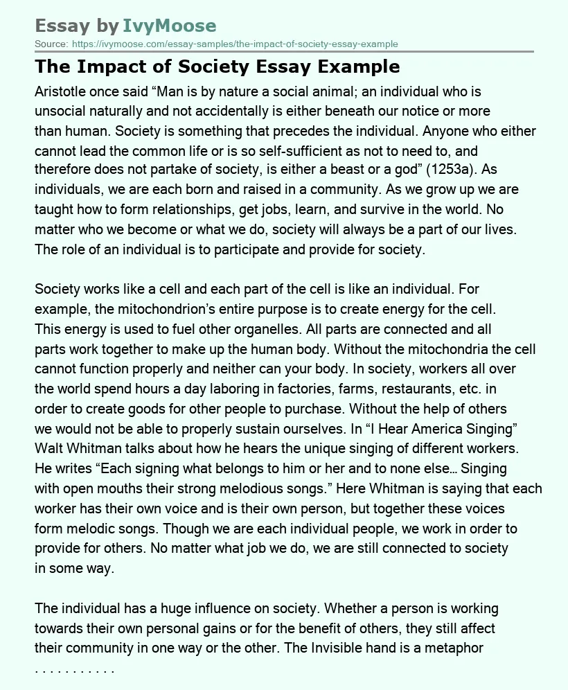 The Impact of Society Essay Example
