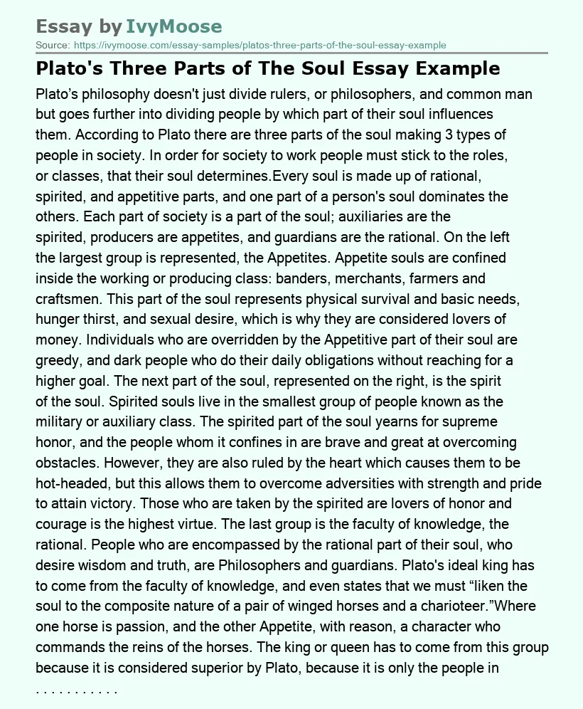 Plato's Three Parts of The Soul Essay Example