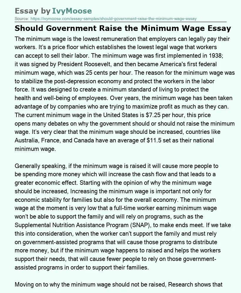 Should Government Raise the Minimum Wage Essay