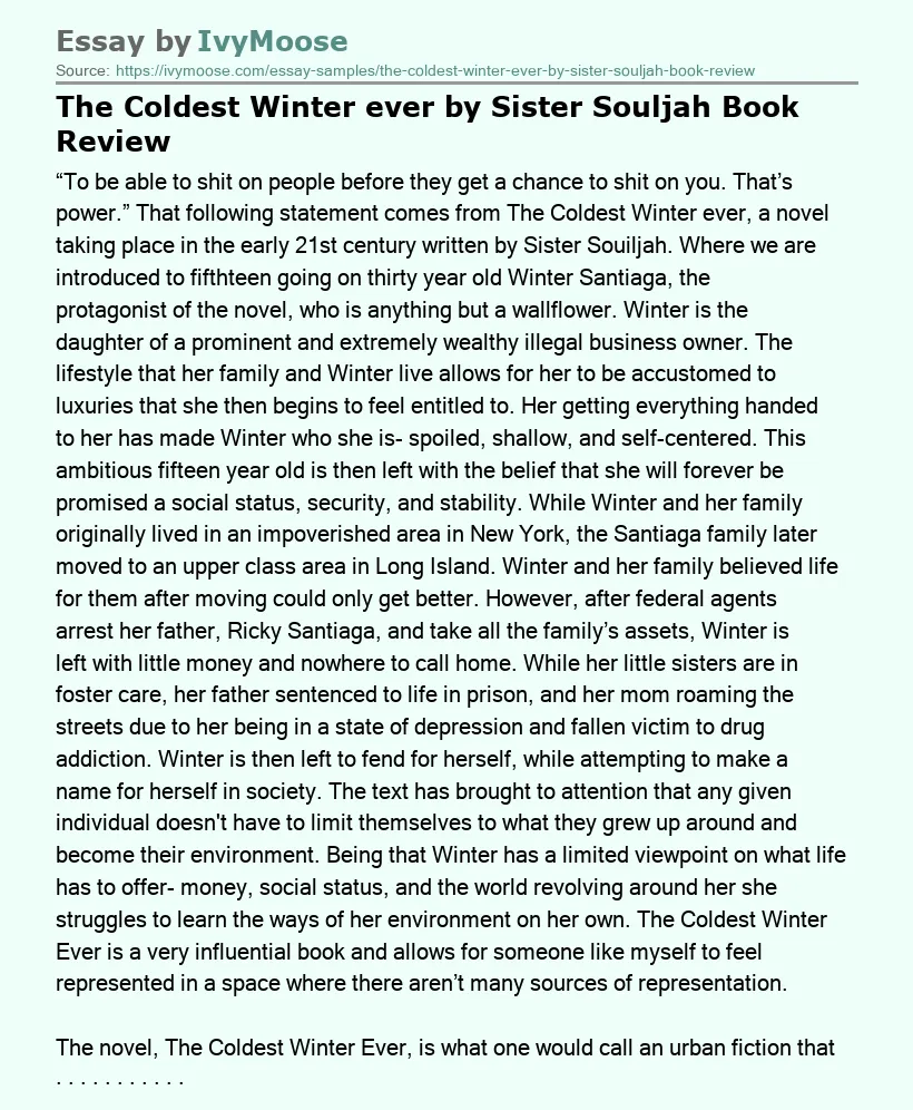 The Coldest Winter ever by Sister Souljah Book Review