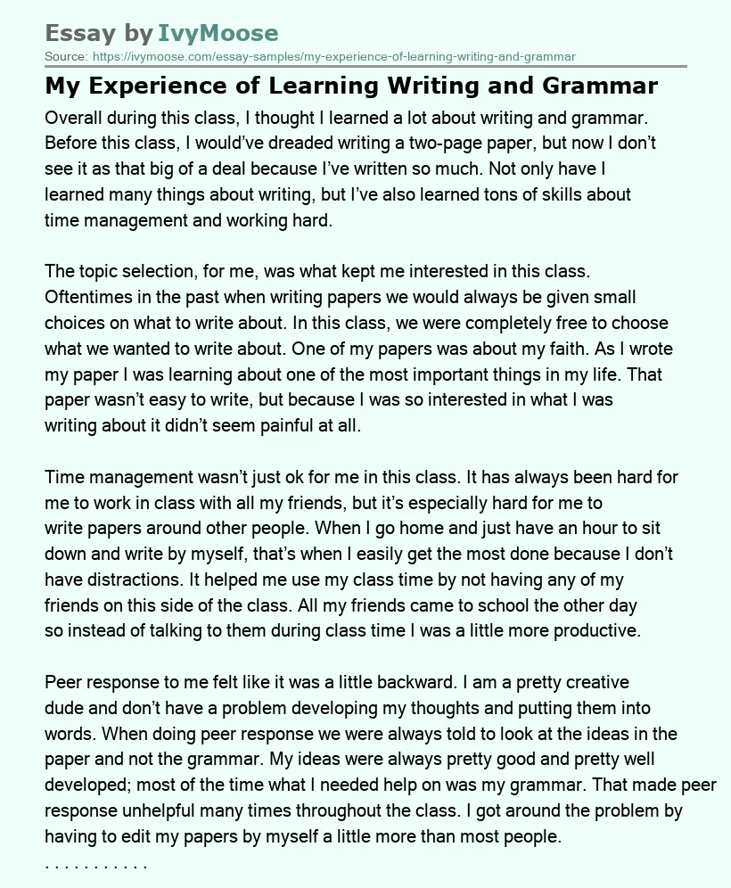 My Experience of Learning Writing and Grammar