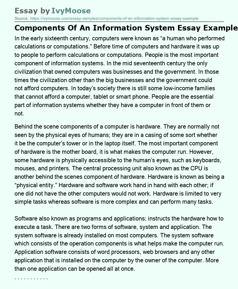 Components Of An Information System Essay Example