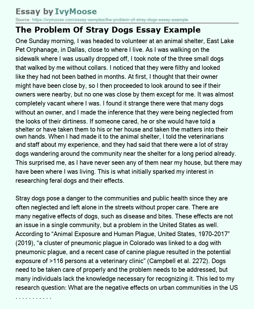 The Problem Of Stray Dogs Essay Example