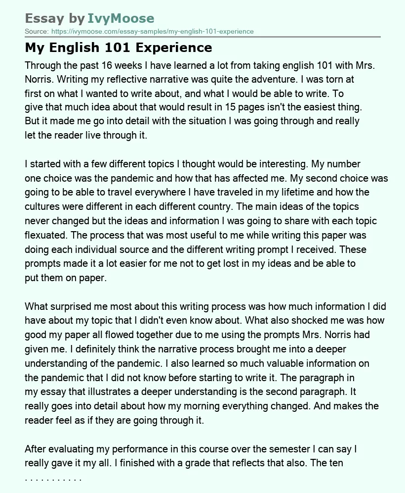 My English 101 Experience