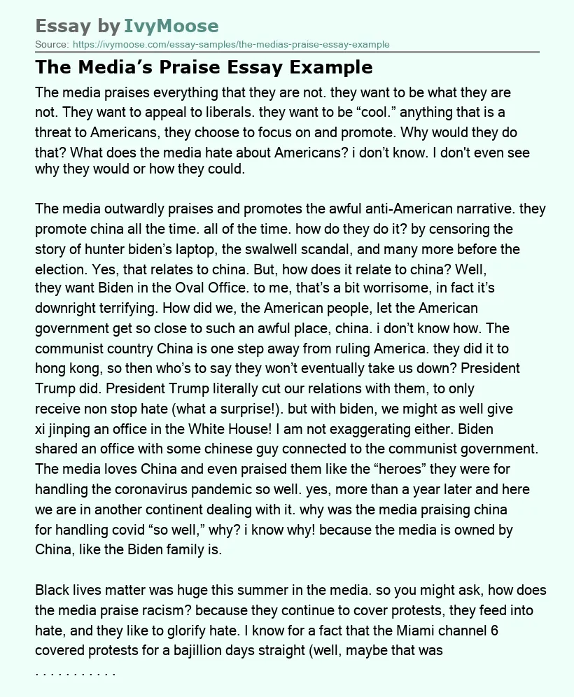 The Media’s Praise Essay Example