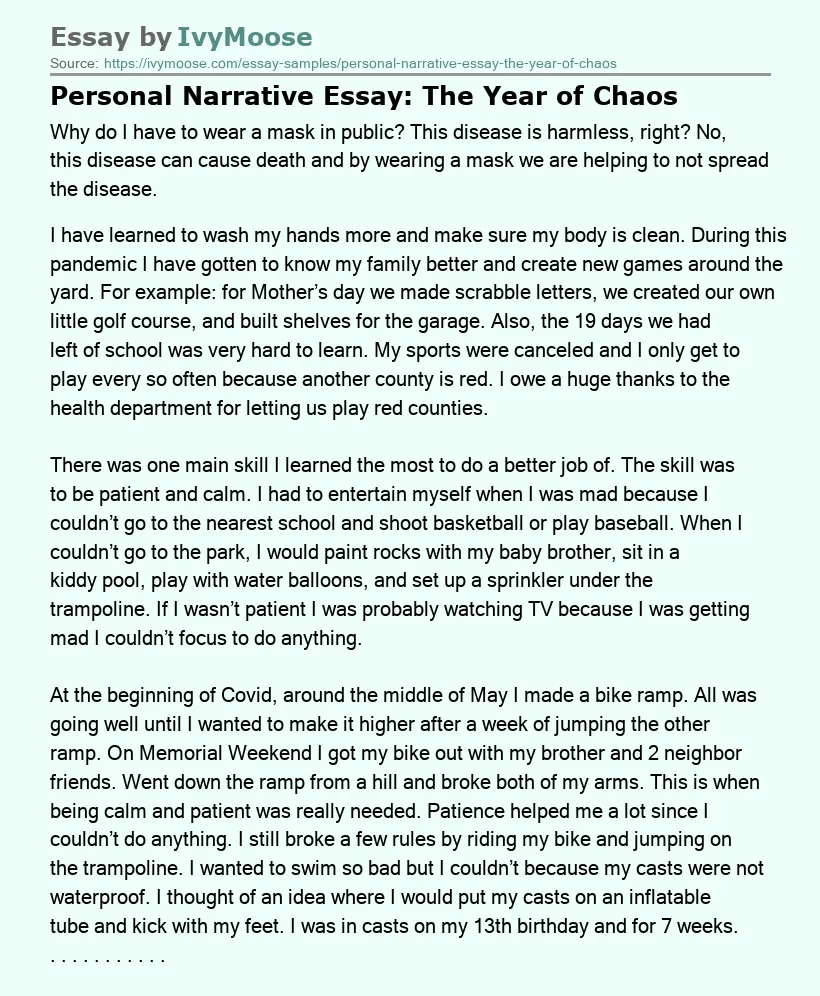 Personal Narrative Essay: The Year of Chaos