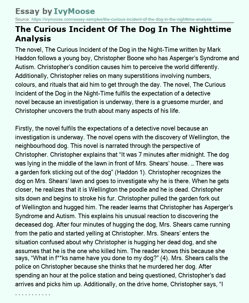 The Curious Incident Of The Dog In The Nighttime Analysis