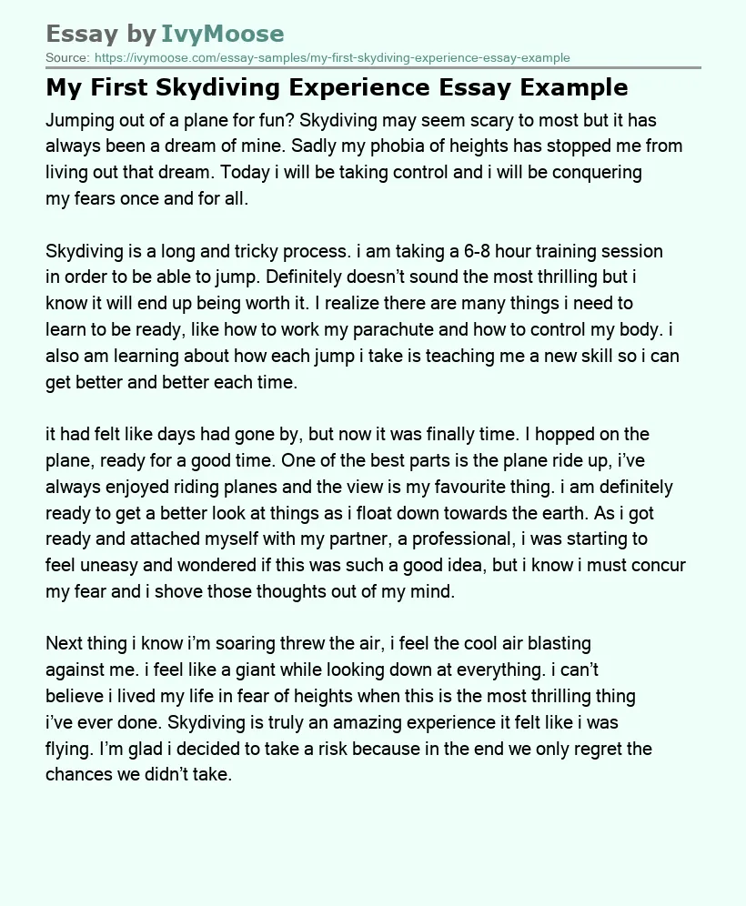 My First Skydiving Experience Essay Example