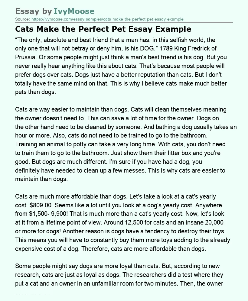 Cats Make the Perfect Pet Essay Example