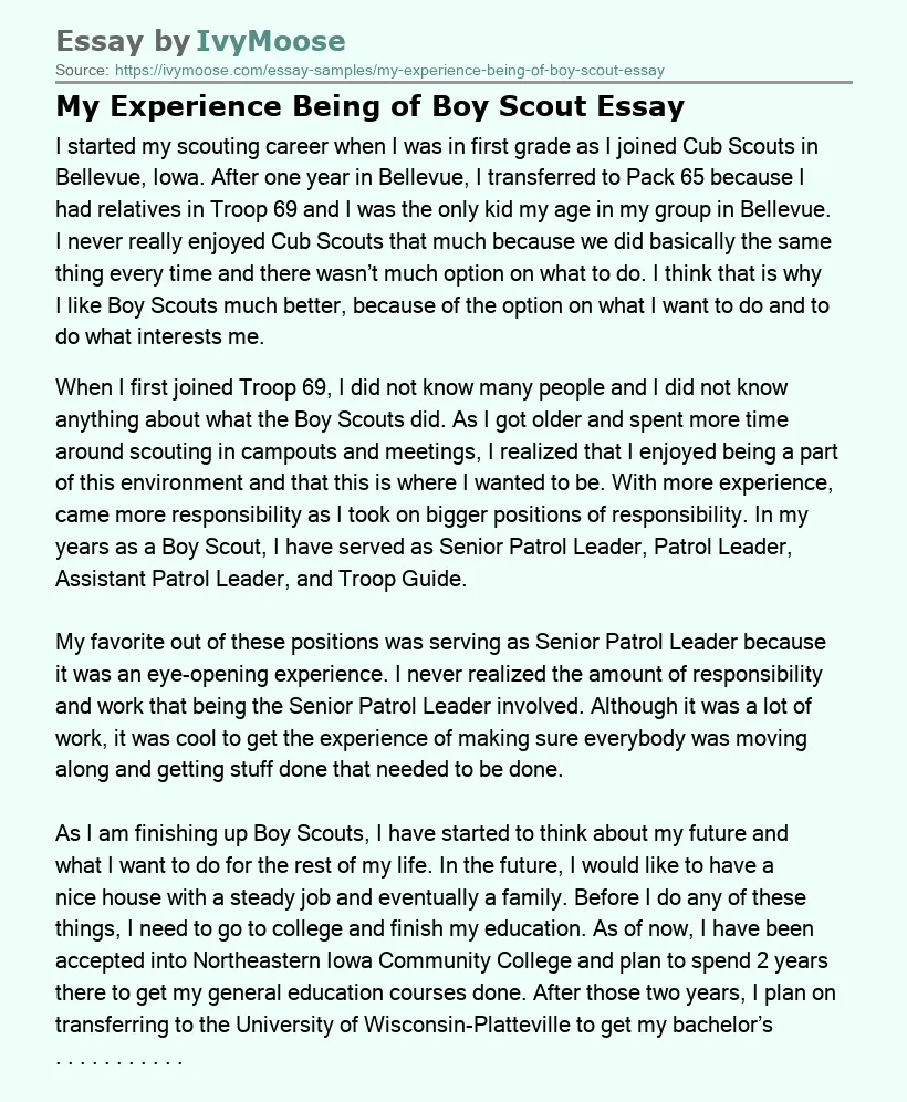 My Experience Being of Boy Scout Essay
