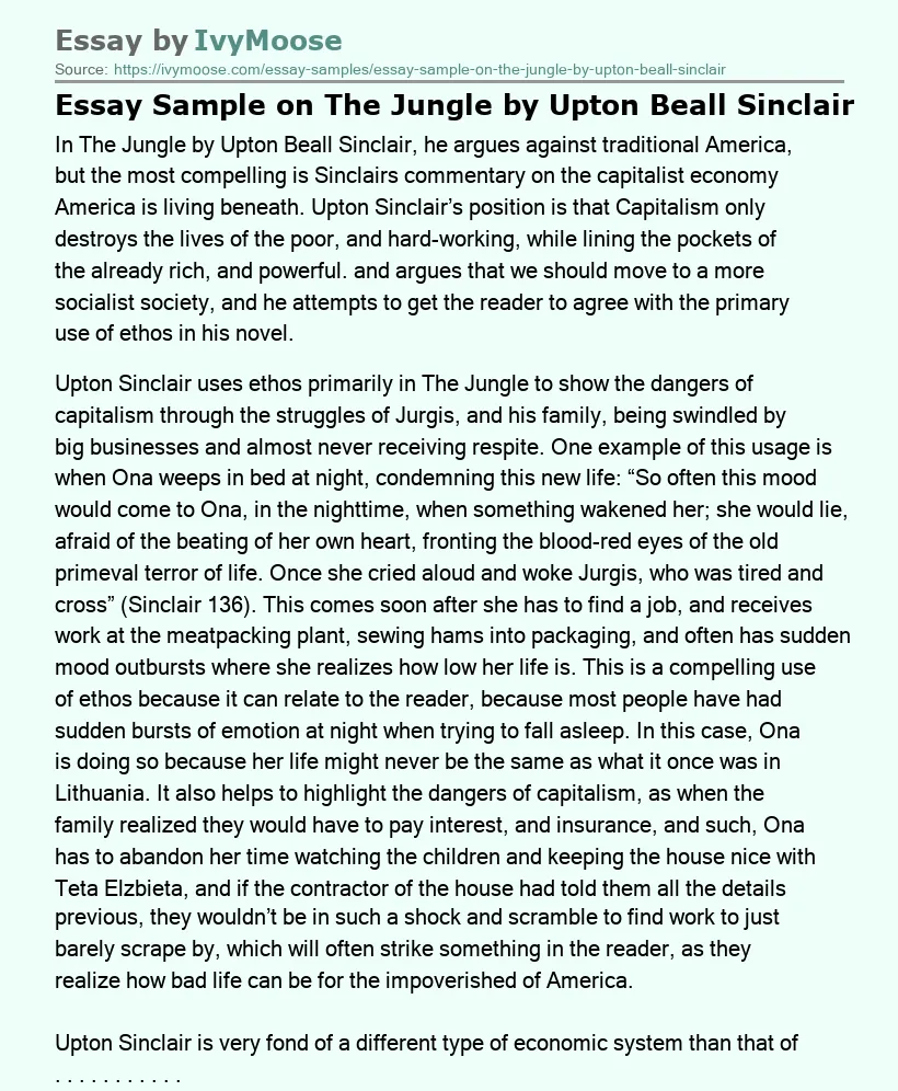 Essay Sample on The Jungle by Upton Beall Sinclair