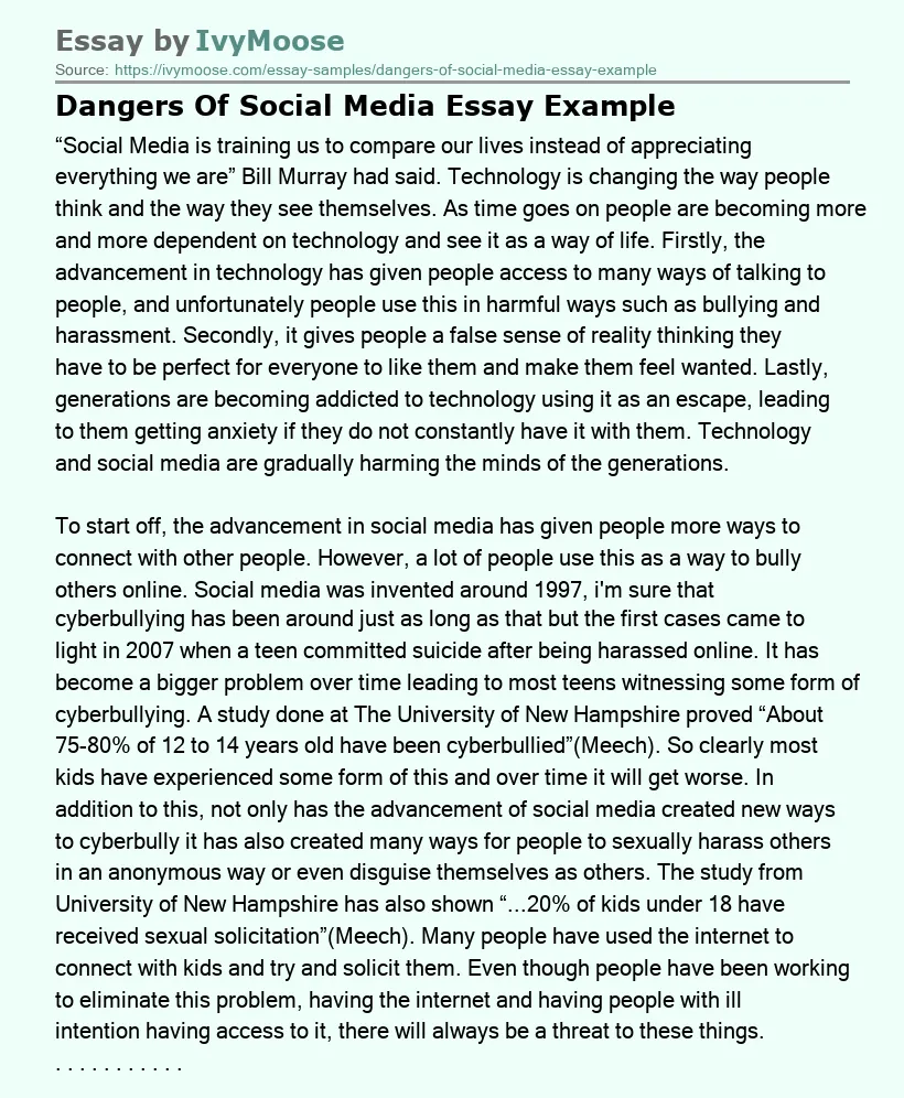 Dangers Of Social Media Essay Example