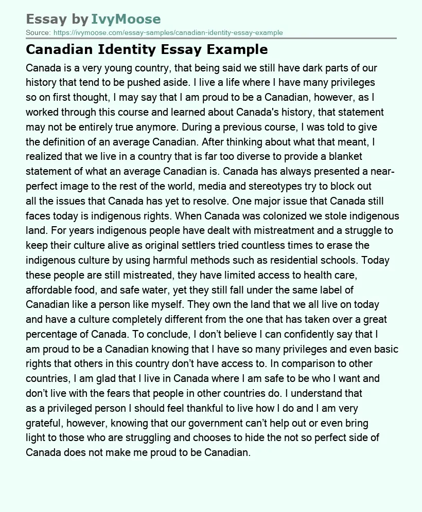 Canadian Identity Essay Example