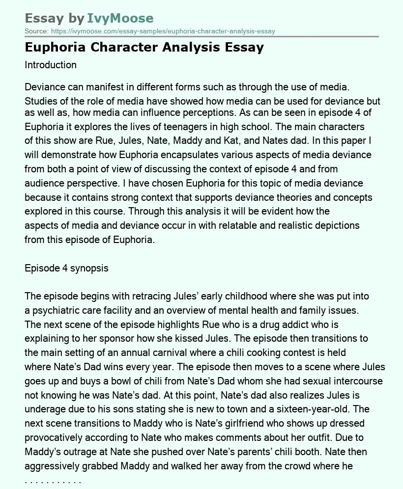 Euphoria Character Analysis Essay