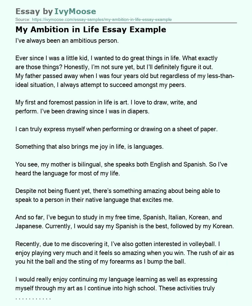 My Ambition in Life Essay Example