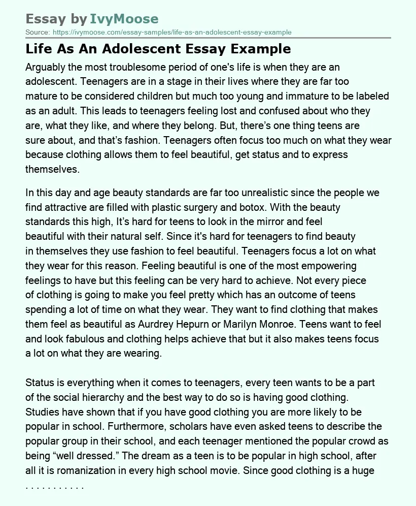 Life As An Adolescent Essay Example