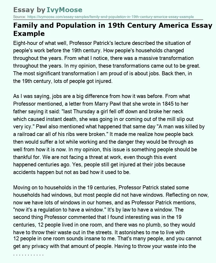 Family and Population in 19th Century America Essay Example