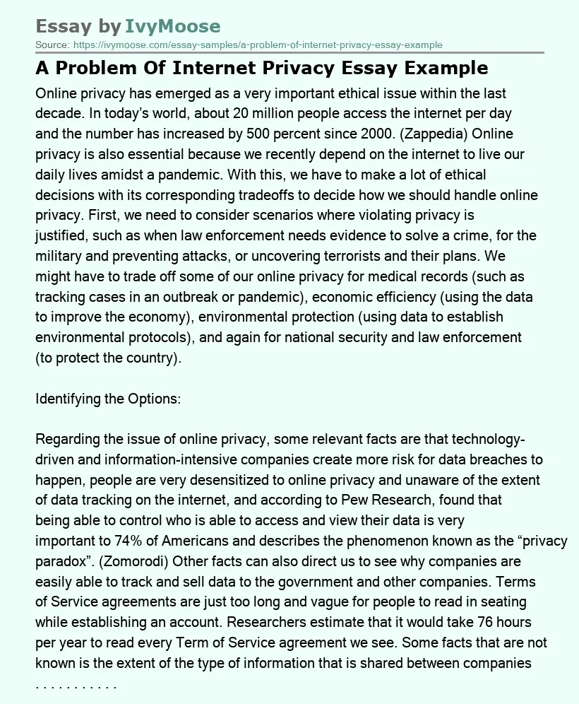 A Problem Of Internet Privacy Essay Example