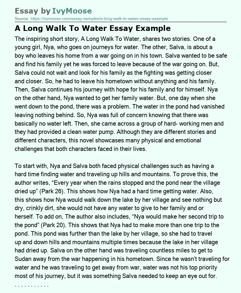 A Long Walk To Water Essay Example