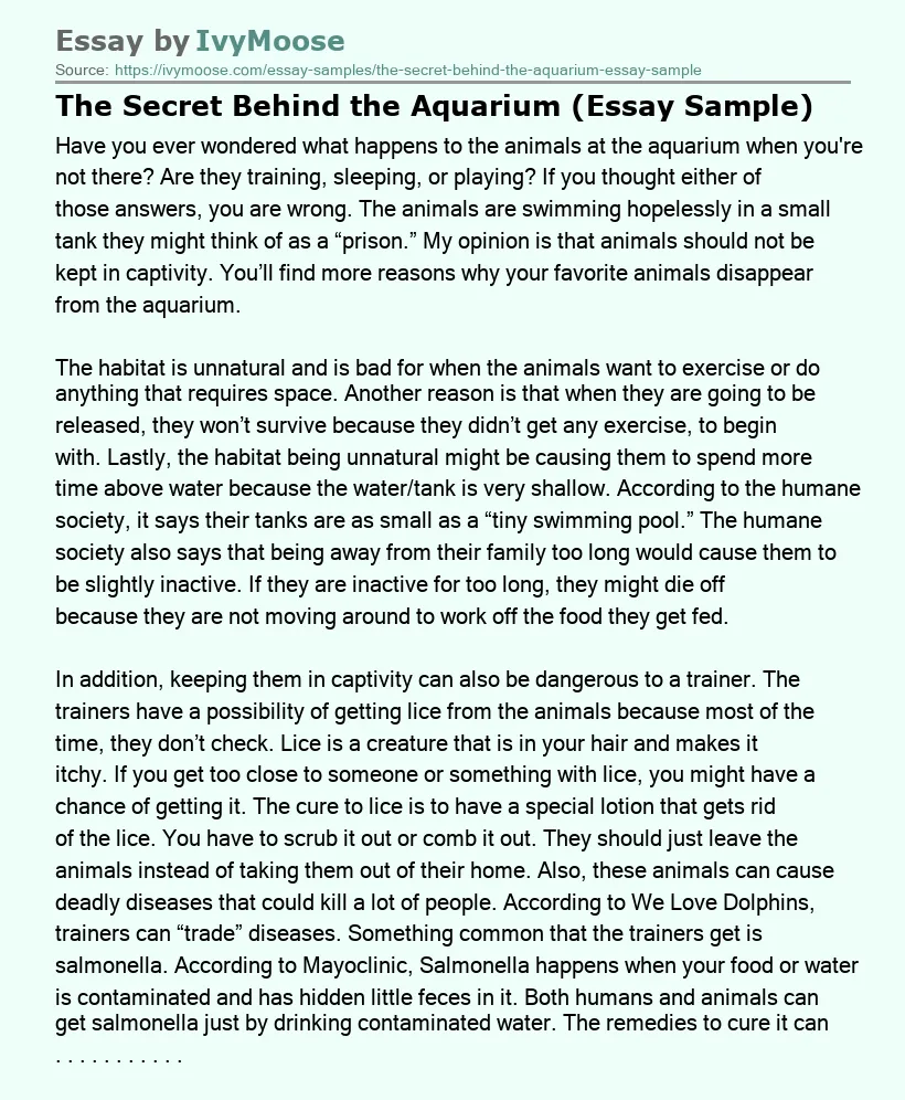The Secret Behind the Aquarium (Essay Sample)