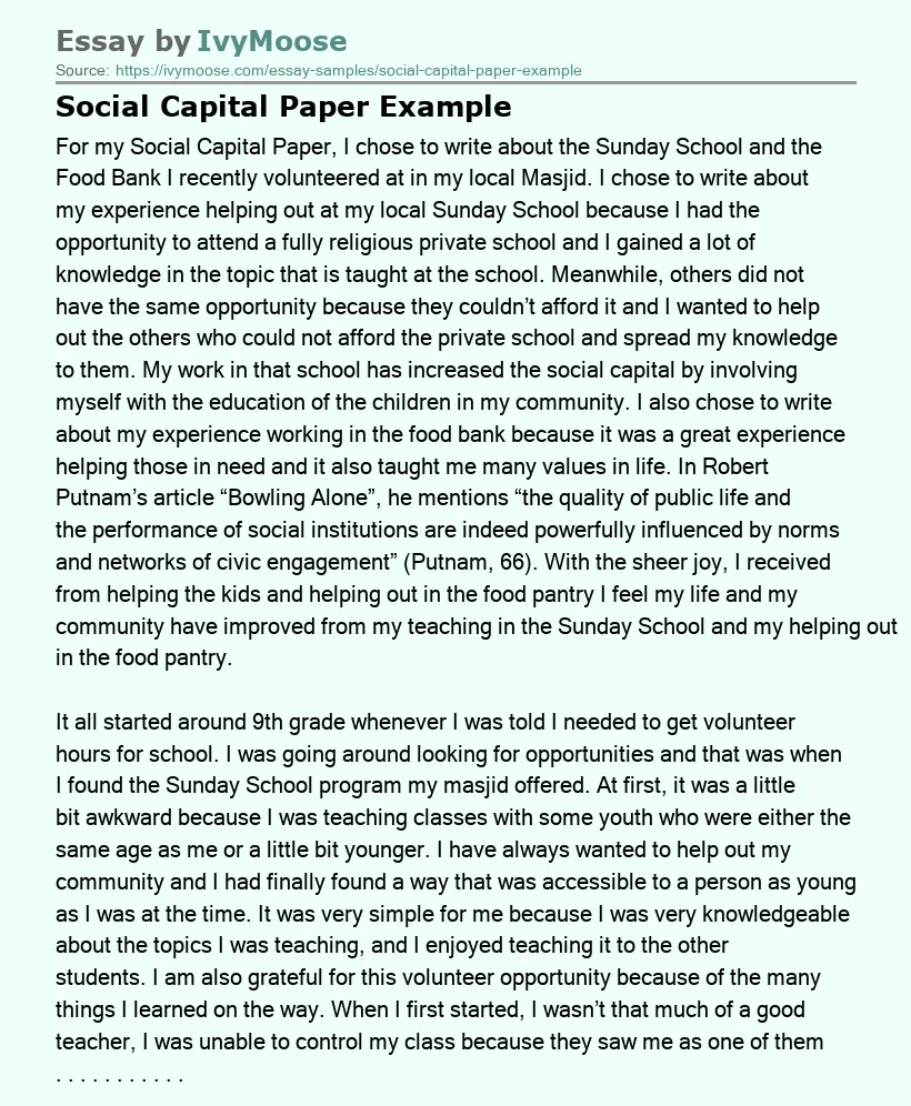 Social Capital Paper Example