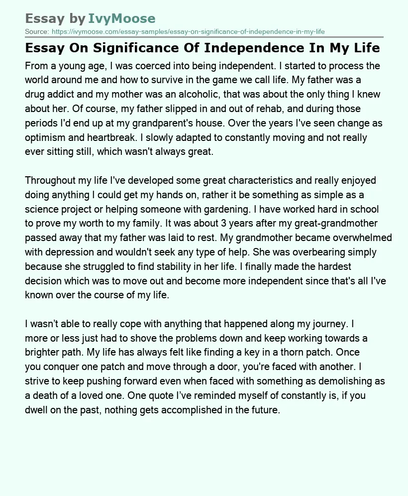 Essay On Significance Of Independence In My Life