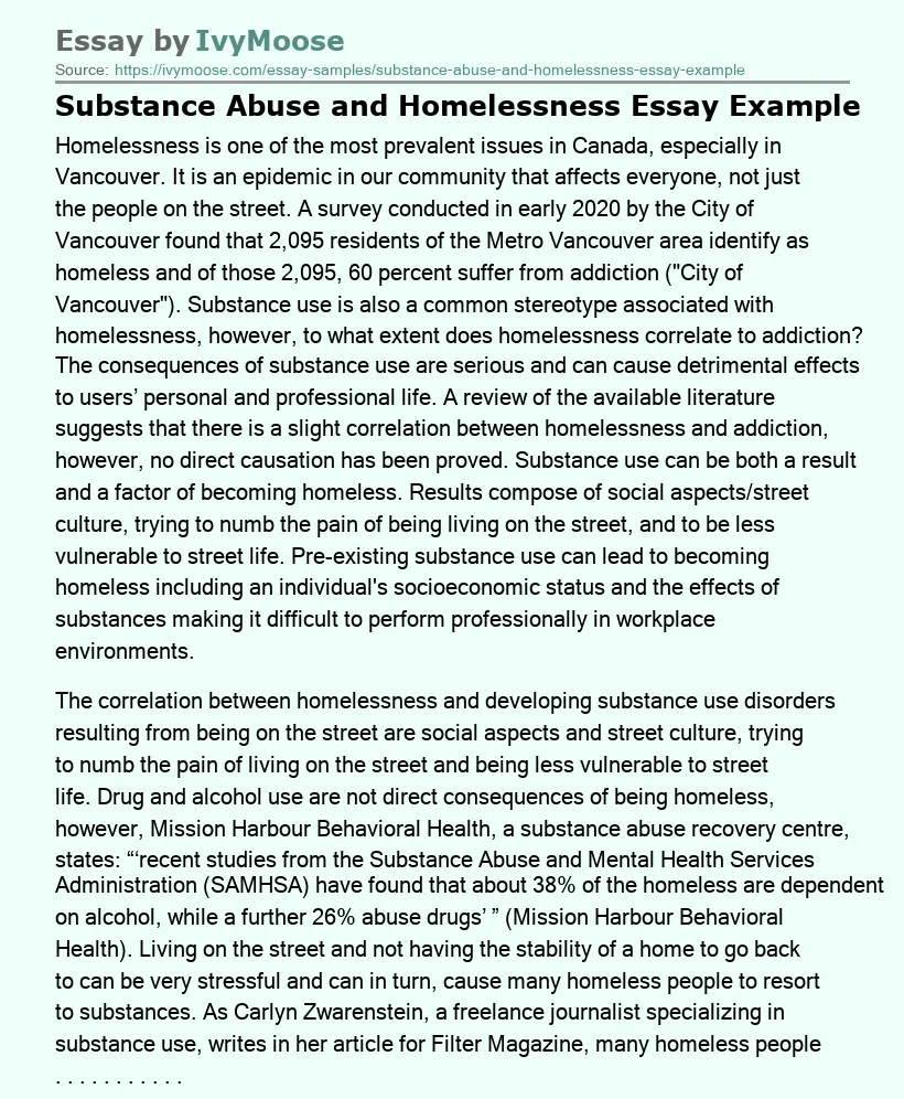 Substance Abuse and Homelessness Essay Example