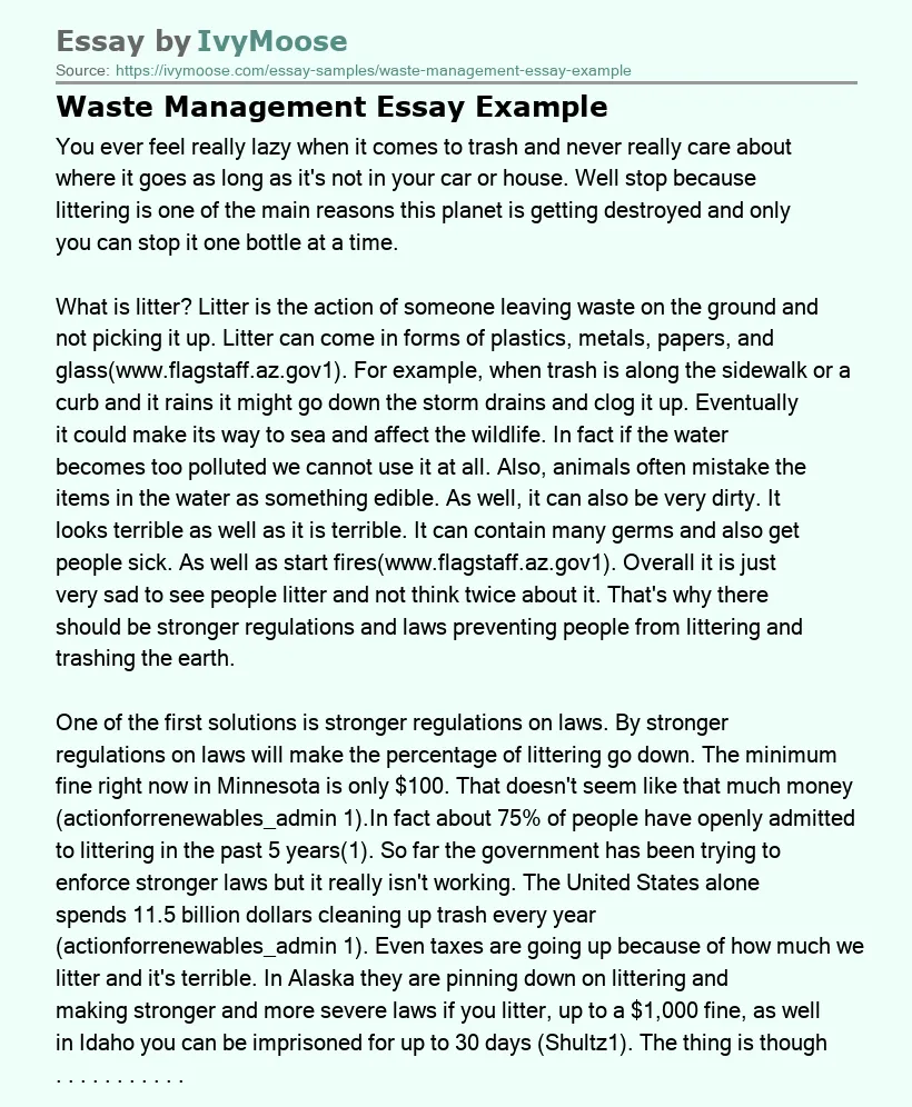 Waste Management Essay Example