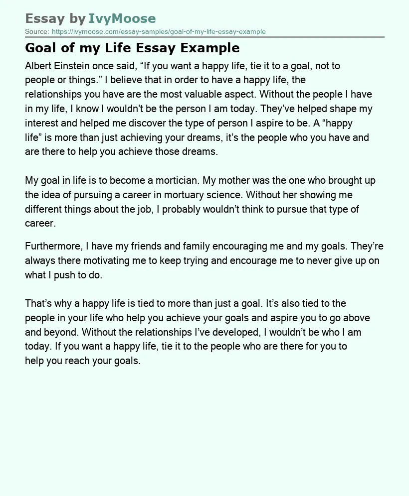 Goal of my Life Essay Example