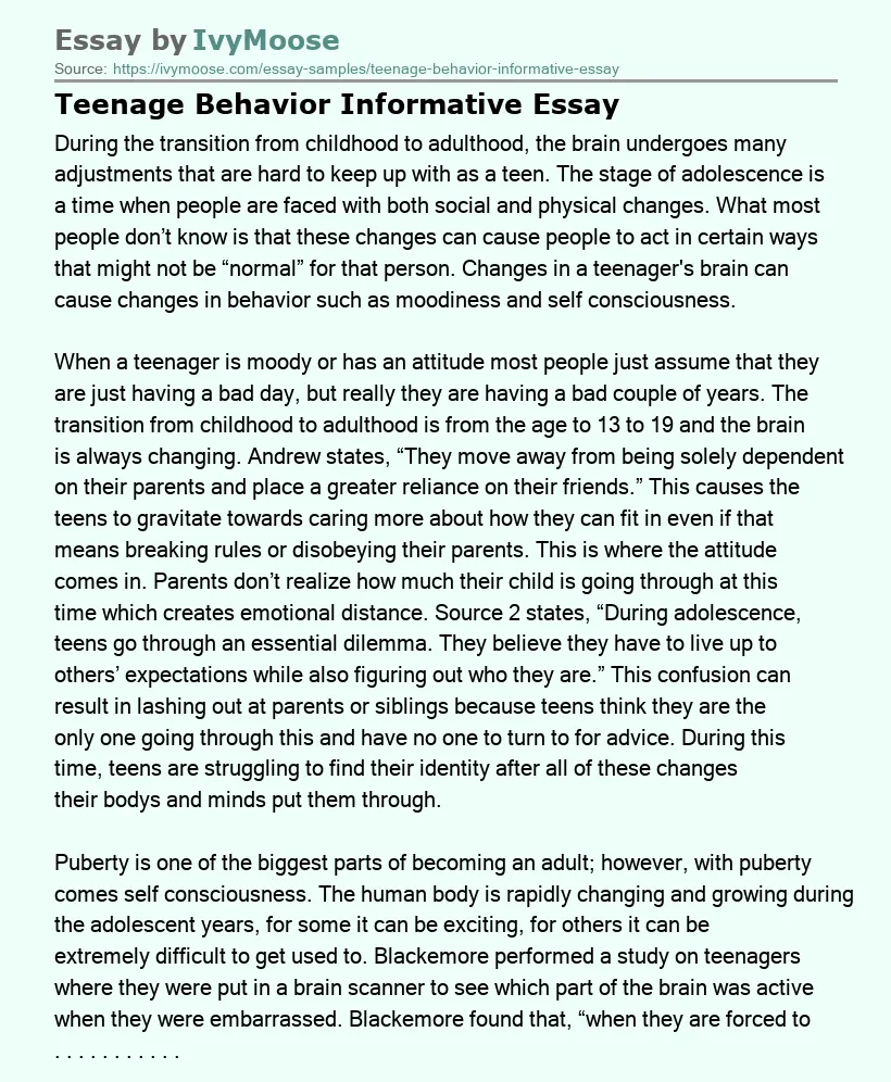 Teenage Behavior Informative Essay
