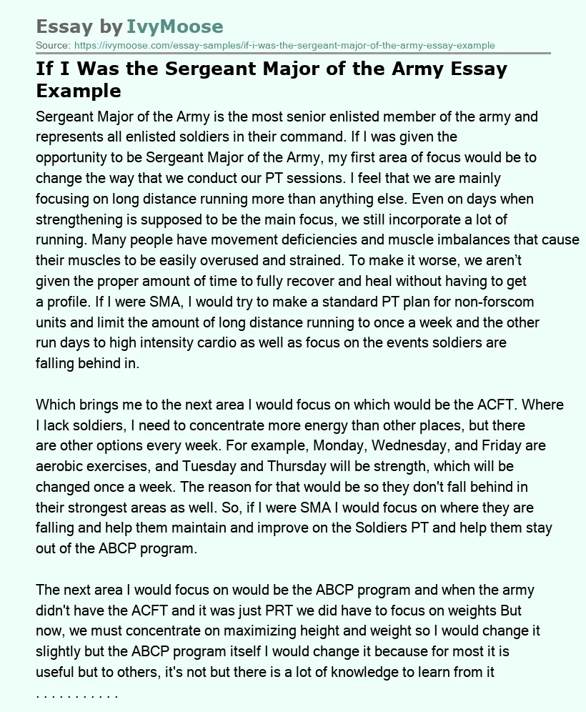 If I Was the Sergeant Major of the Army Essay Example