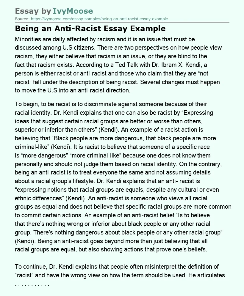 Being an Anti-Racist Essay Example