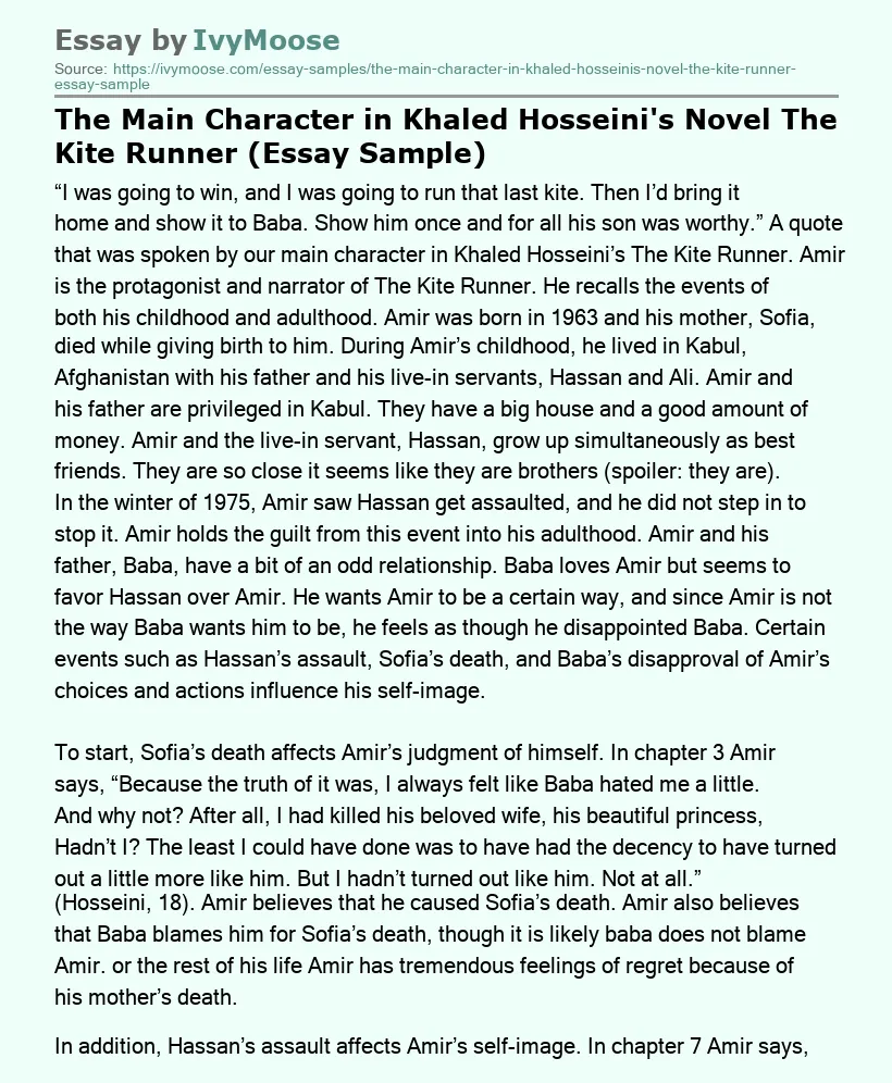 The Main Character in Khaled Hosseini's Novel The Kite Runner (Essay Sample)