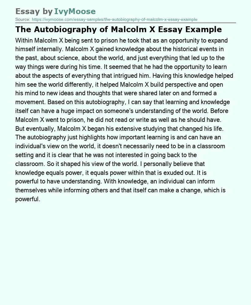 The Autobiography of Malcolm X Essay Example