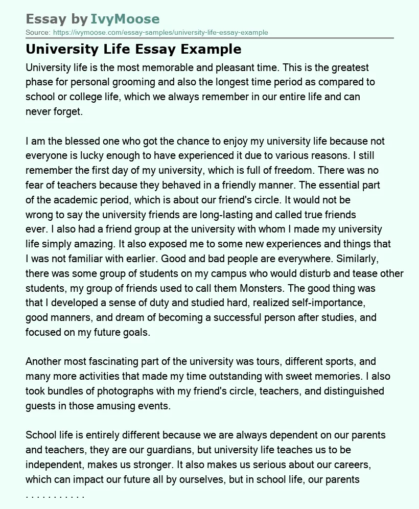 University Life Essay Example