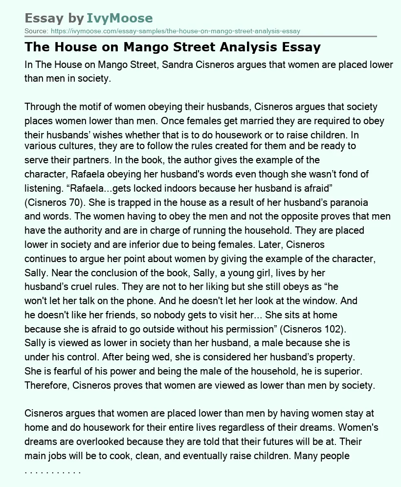 The House on Mango Street Analysis Essay
