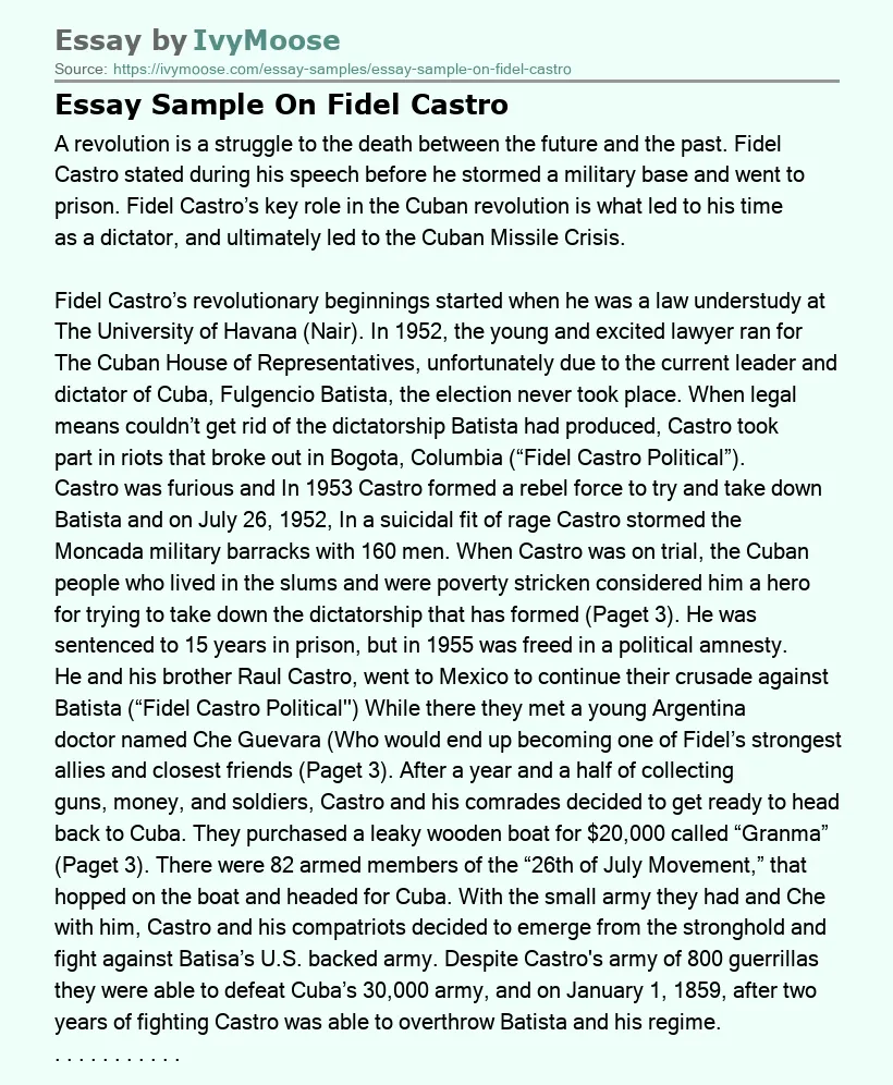 Essay Sample On Fidel Castro